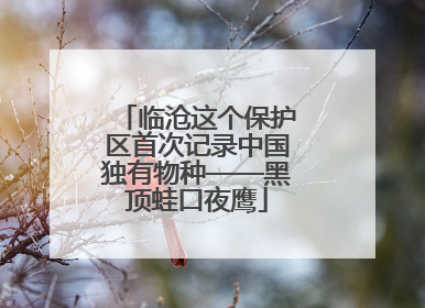临沧这个保护区首次记录中国独有物种——黑顶蛙口夜鹰
