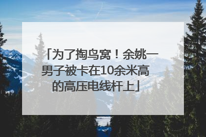 为了掏鸟窝！余姚一男子被卡在10余米高的高压电线杆上
