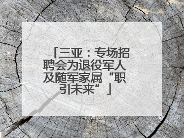 三亚：专场招聘会为退役军人及随军家属“职引未来”