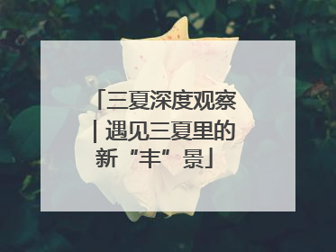 三夏深度观察｜遇见三夏里的新“丰”景