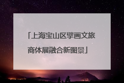 上海宝山区擘画文旅商体展融合新图景