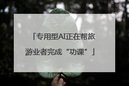 专用型AI正在帮旅游业者完成“功课”