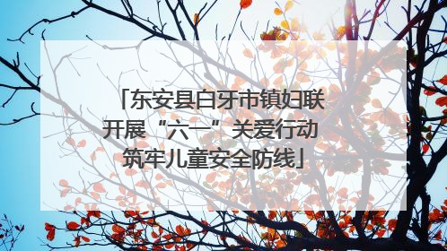 东安县白牙市镇妇联开展“六一”关爱行动 筑牢儿童安全防线