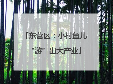 东营区：小村鱼儿“游”出大产业