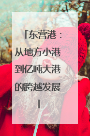 东营港：从地方小港到亿吨大港的跨越发展