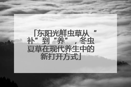 东阳光鲜虫草从“补”到“养”，冬虫夏草在现代养生中的新打开方式