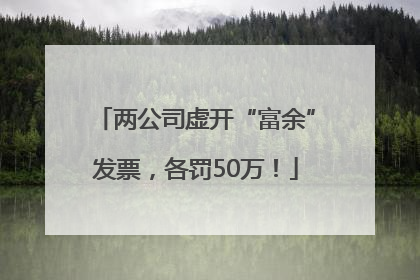 两公司虚开“富余”发票，各罚50万！