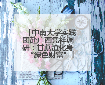 中南大学实践团赴广西凭祥调研：甘蔗渣化身“绿色财富”