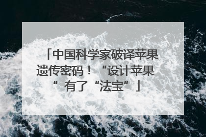中国科学家破译苹果遗传密码！“设计苹果”有了“法宝”