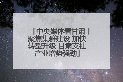 中央媒体看甘肃丨聚焦集群建设 加快转型升级 甘肃支柱产业增势强劲