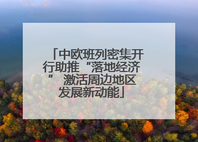 中欧班列密集开行助推“落地经济” 激活周边地区发展新动能