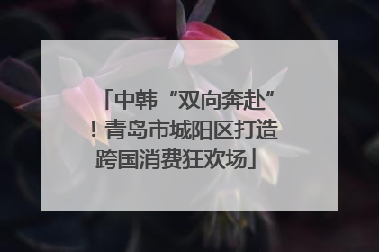 中韩“双向奔赴”！青岛市城阳区打造跨国消费狂欢场