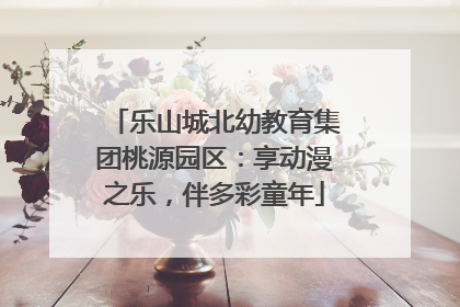乐山城北幼教育集团桃源园区：享动漫之乐，伴多彩童年