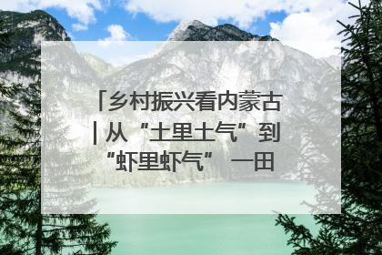 乡村振兴看内蒙古｜从“土里土气”到“虾里虾气” 一田双收模式火出圈