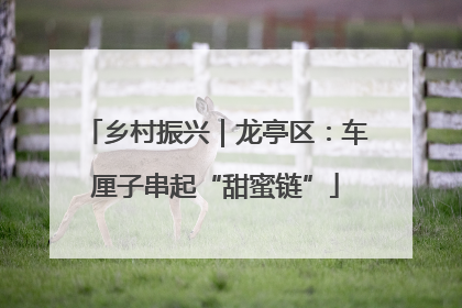 乡村振兴｜龙亭区：车厘子串起“甜蜜链”