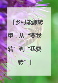 乡村能源转型：从“要我转”到“我要转”