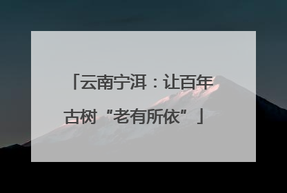 云南宁洱：让百年古树“老有所依”