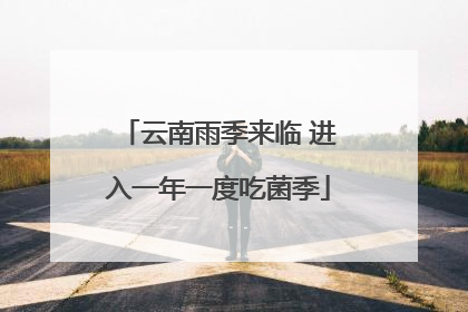 云南雨季来临 进入一年一度吃菌季