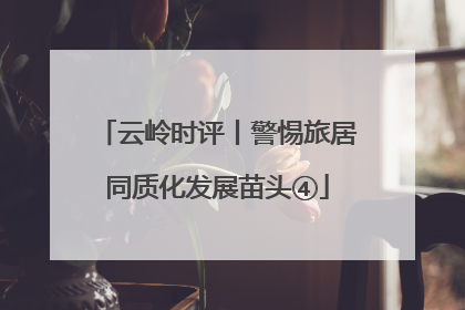 云岭时评丨警惕旅居同质化发展苗头④