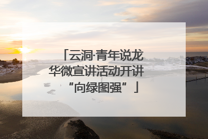 云洞·青年说龙华微宣讲活动开讲“向绿图强”