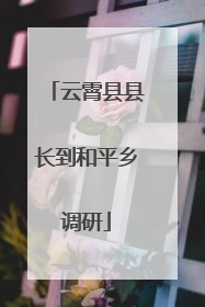 云霄县县长到和平乡调研