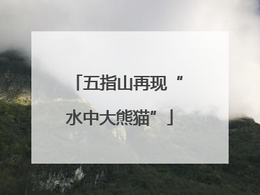 五指山再现“水中大熊猫”