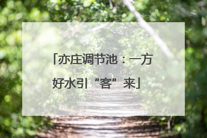 亦庄调节池：一方好水引“客”来