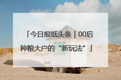 今日报纸头条｜00后种粮大户的“新玩法”
