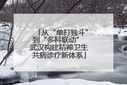 从“单打独斗”到“多科联动” 武汉构建精神卫生共病诊疗新体系