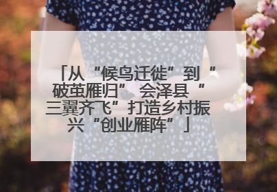 从“候鸟迁徙”到“破茧雁归” 会泽县“三翼齐飞”打造乡村振兴“创业雁阵”
