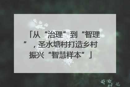 从“治理”到“智理”，圣水塘村打造乡村振兴“智慧样本”