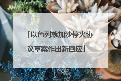 以色列就加沙停火协议草案作出新回应