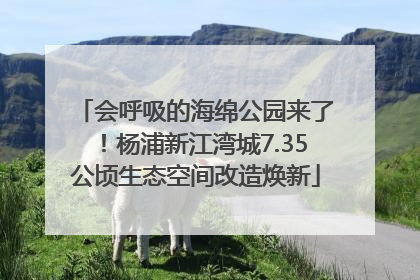 会呼吸的海绵公园来了！杨浦新江湾城7.35公顷生态空间改造焕新