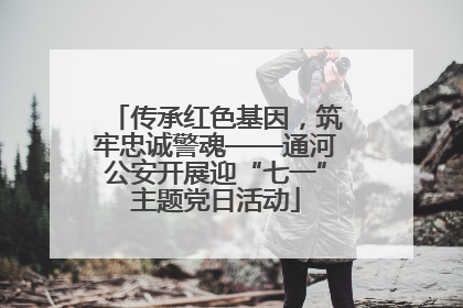 传承红色基因，筑牢忠诚警魂——通河公安开展迎“七一”主题党日活动