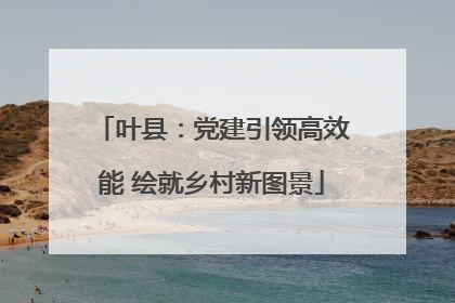 叶县：党建引领高效能 绘就乡村新图景