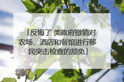 反悔了 美政府撤销对农场、酒店和餐馆进行移民突击检查的豁免
