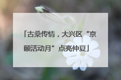 古桑传情，大兴区“京颐活动月”点亮仲夏