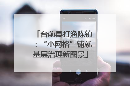 台前县打渔陈镇：“小网格”铺就基层治理新图景