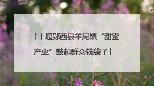十堰郧西县羊尾镇“甜蜜产业”鼓起群众钱袋子