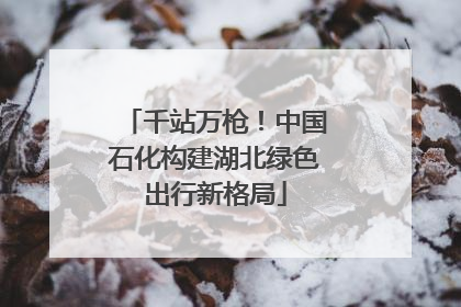 千站万枪！中国石化构建湖北绿色出行新格局