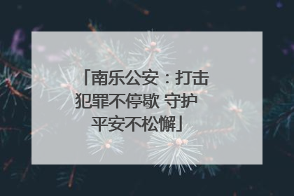 南乐公安：打击犯罪不停歇 守护平安不松懈