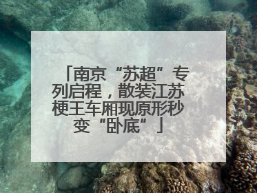 南京“苏超”专列启程，散装江苏梗王车厢现原形秒变“卧底”