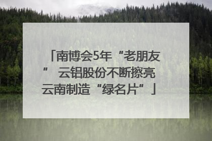 南博会5年“老朋友” 云铝股份不断擦亮云南制造“绿名片”