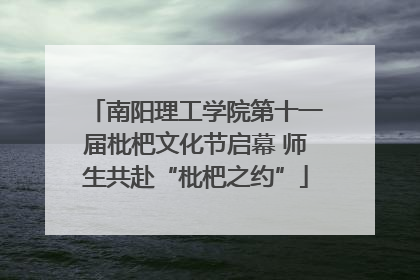 南阳理工学院第十一届枇杷文化节启幕 师生共赴“枇杷之约”