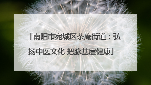 南阳市宛城区茶庵街道：弘扬中医文化 把脉基层健康