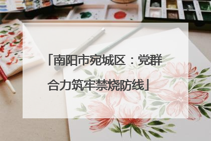 南阳市宛城区：党群合力筑牢禁烧防线