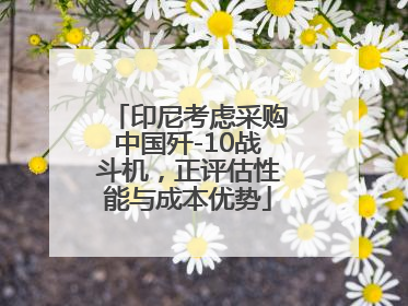 印尼考虑采购中国歼-10战斗机，正评估性能与成本优势