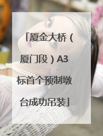 厦金大桥（厦门段）A3标首个预制墩台成功吊装