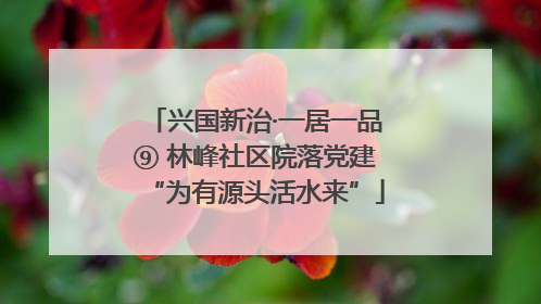 兴国新治·一居一品⑨ 林峰社区院落党建“为有源头活水来”