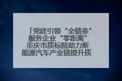党建引领“全链条” 服务企业“零距离” 重庆市质标院助力新能源汽车产业链提升质量管理水平